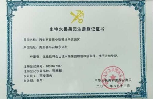 乳酸菌肥料助力獼猴桃品質升級，陜西西安科技成果轉化推動果業新發展
